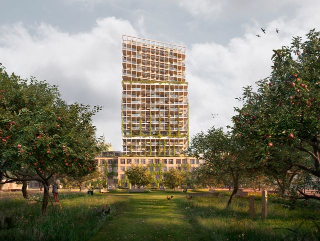 LifeCycle Amsterdam 2023