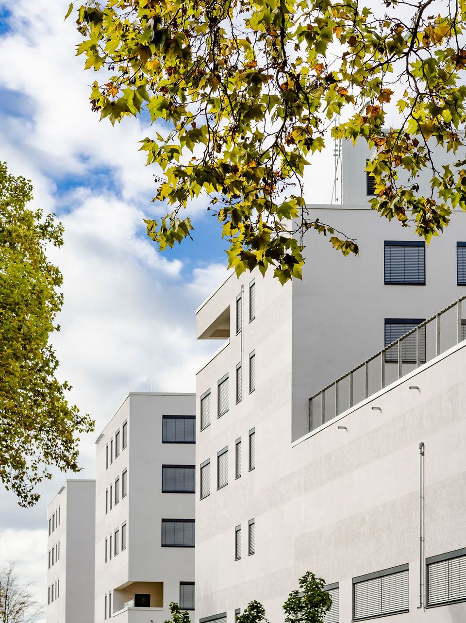 Außenaufnahme eines modernen Klinikgebäudes mit klarer weißer Fassadengliederung und vorgelagerten Baumkronen im Bildvordergrund.