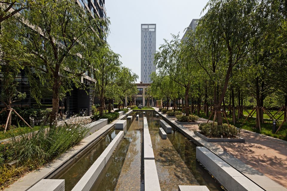 Linearer Wasserlauf zwischen Bäumen und Wegen im Expo Village Shanghai.