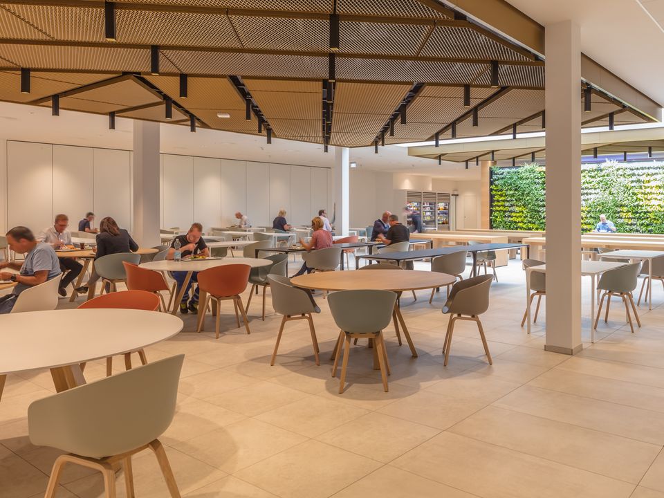 Innenaufnahme eines Betriebsrestaurants mit offenen Sitzbereichen, Akustikelementen an der Decke und begrüntem Wandpaneel im Hintergrund.