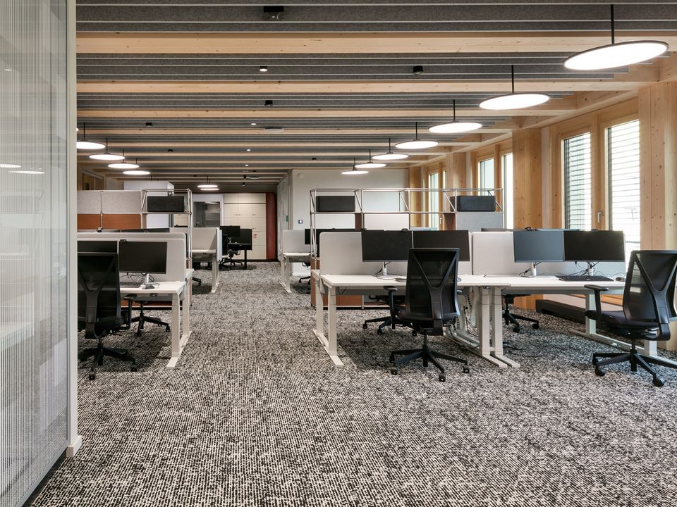 Großraumbüro mit höhenverstellbaren Schreibtischen, ergonomischen Stühlen und Holzdecken, offene Arbeitsumgebung