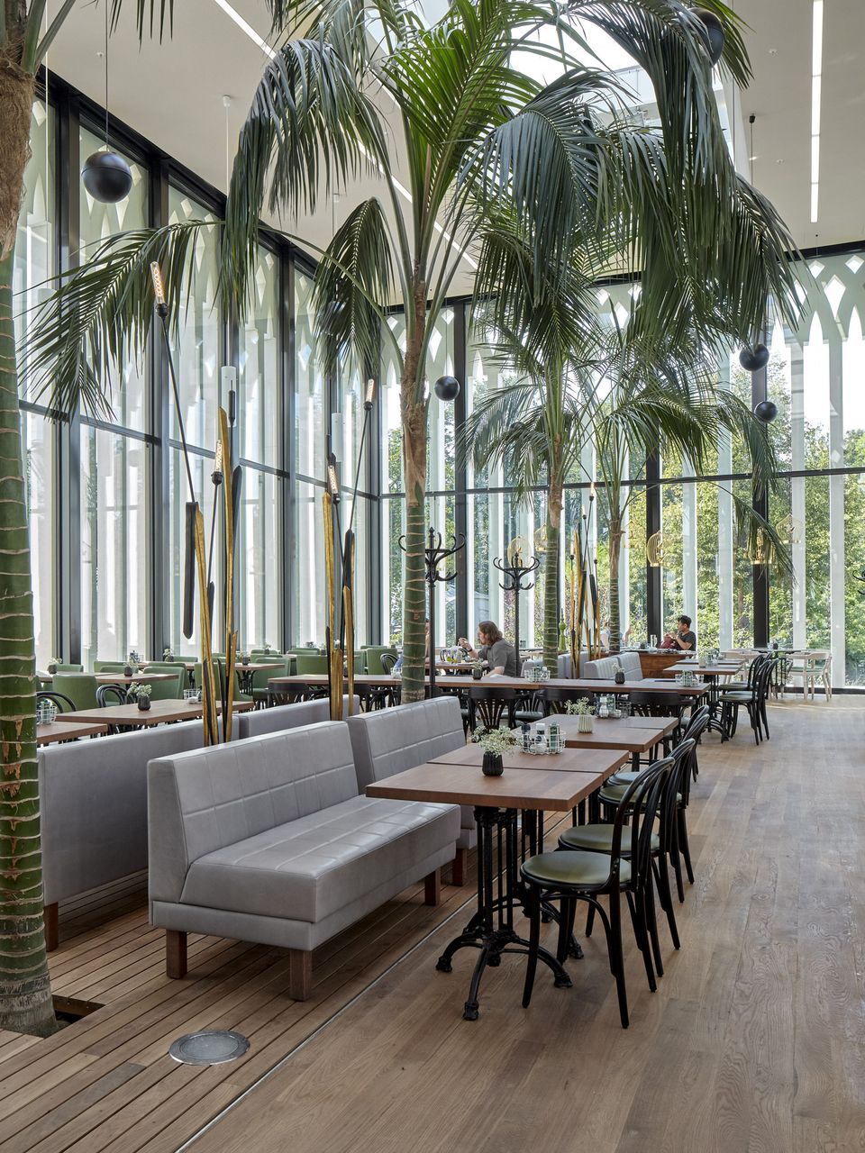 Innenaufnahme eines lichtdurchfluteten Gastraums mit hohen Glasfassaden, integrierten Palmen, Sitzbänken und Holzboden, die eine transparente, botanisch geprägte Atmosphäre schaffen.