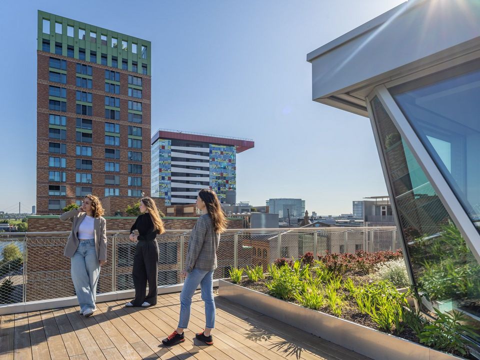 Außenaufnahme einer begrünten Dachterrasse eines Holz‑Hybridgebäudes mit Blick auf umliegende Hochhäuser, Sitzbereichen und integrierten Pflanzflächen im urbanen Kontext.