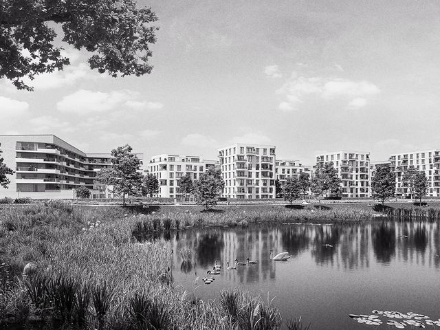 Pandion Albertussee