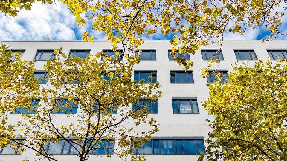 Außenaufnahme eines modernen Klinikgebäudes mit klarer weißer Fassadengliederung und vorgelagerten Baumkronen im Bildvordergrund.