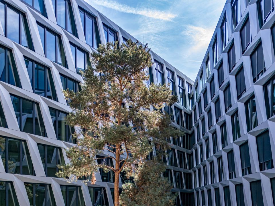 Innenhof eines Bürogebäudes mit markanter Fassadenstruktur und integriertem Baum, klare Linien und offene Architektur