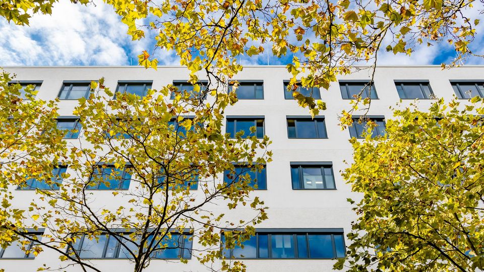 An exterior shot of a modern hospital building with a clean, white façade and tree tops in the foreground.