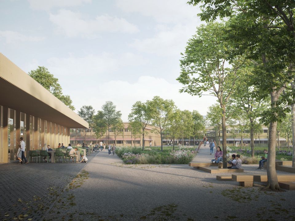 Außenaufnahme eines weitläufigen Campusbereichs mit Wegen, Aufenthaltszonen, Baumstrukturen und offenen Gebäudefassaden aus Holz im landschaftlichen Umfeld.