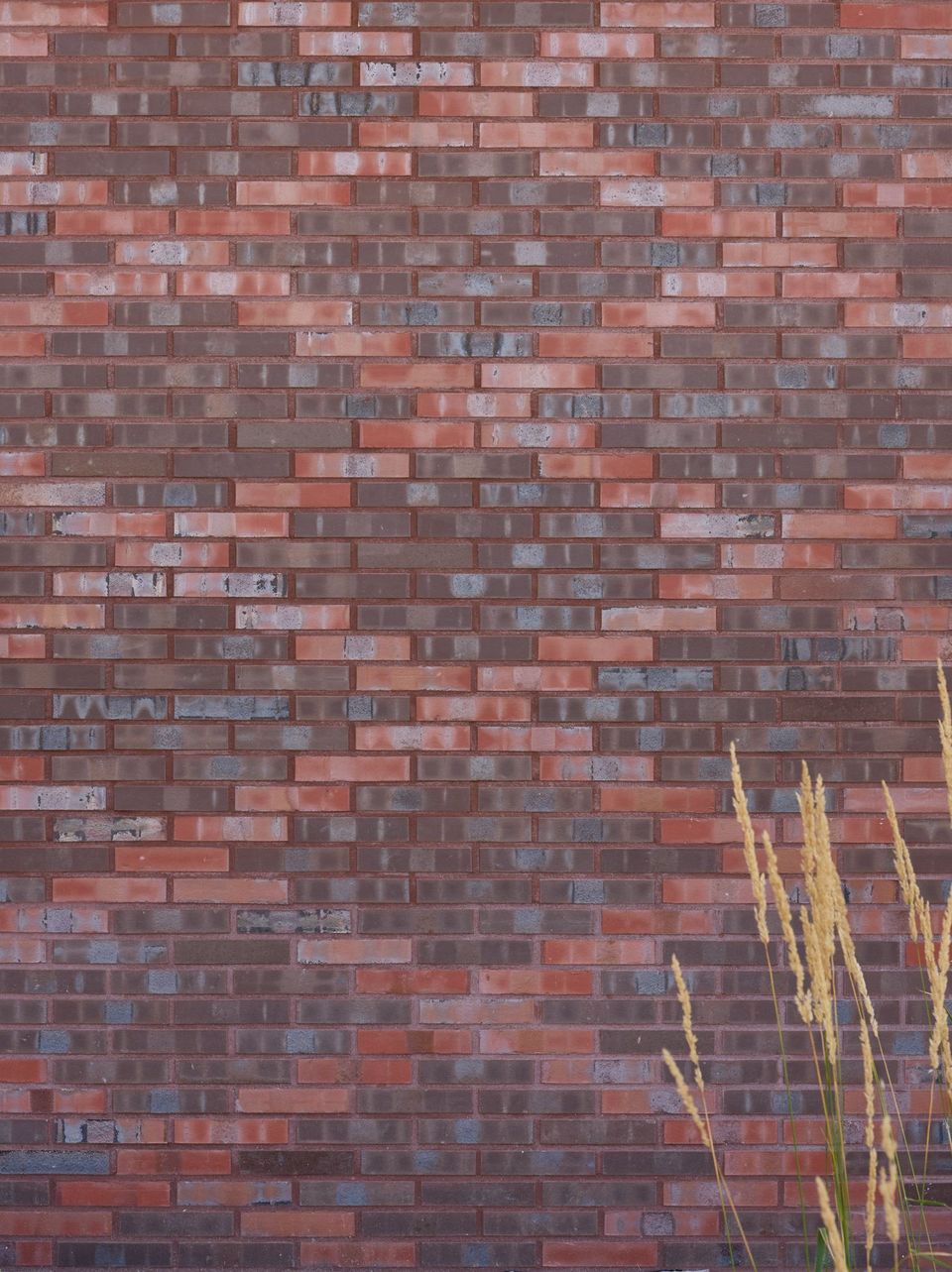 Detailaufnahme einer gemusterten Klinkerfassade mit variierenden Steinformaten und vertikal begrünter Vorgartenzone.