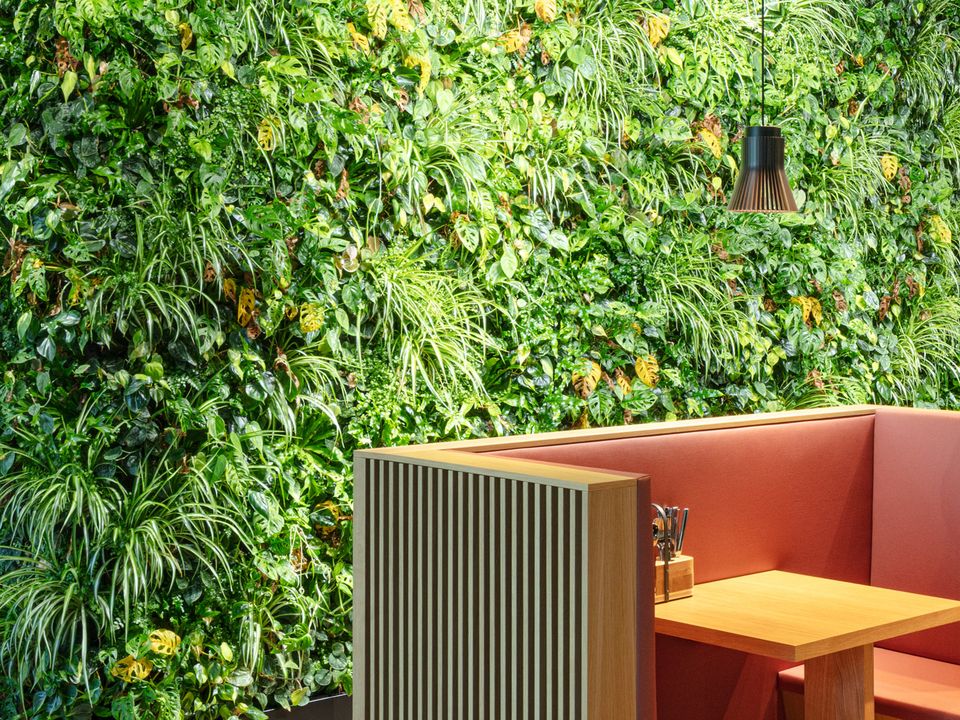 Sitzbereich mit Holzbank und Tisch vor üppiger grüner Pflanzenwand, hängende Leuchte für gemütliche Atmosphäre