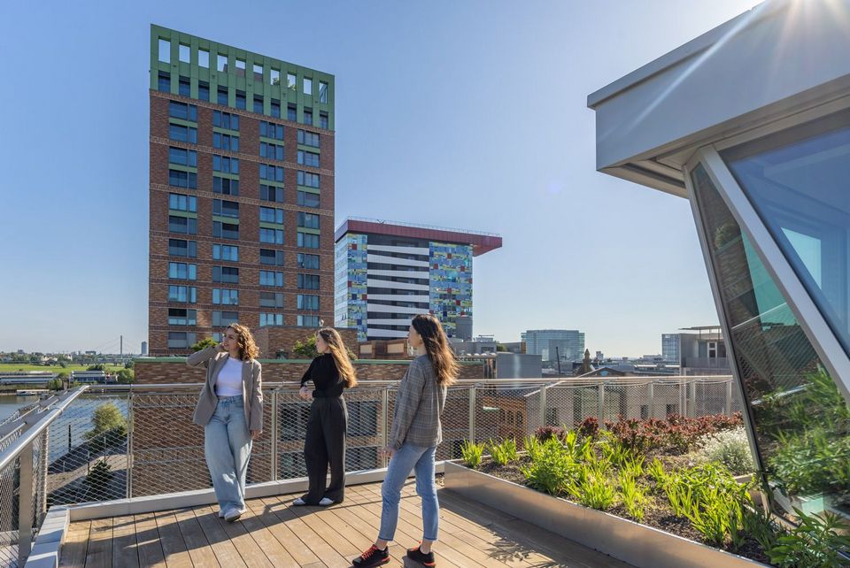 Roof terrace with wooden decking and greenery, view of surrounding high-rise buildings with colourful façades and river landscape